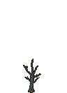 Withergate Tree stages 1.png
