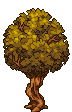Golden Tree stages 4.png