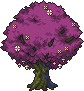 Fairy Cherry tree stages 5.png
