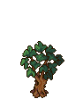 Raspberry tree stages 2.png