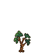 Raspberry tree stages 1.png