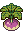 Turnip stages 3.png