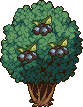 Blueberry tree stages 9.png