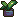 Dindle Weed Plant.png