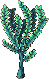 Brine Berry tree stages 6.png