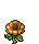 Sunflower stages 2.png