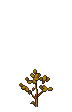 Golden Tree stages 1.png