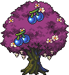 Fairy Cherry tree stages 8.png