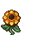 Sunflower stages 3.png