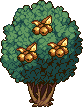 Blueberry tree stages 9 gold.png