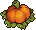 Pumpkin stages 4.png
