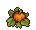 Pumpkin stages 3.png