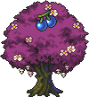 Fairy Cherry tree stages 7.png