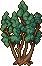 Blueberry tree stages 4.png