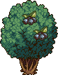 Blueberry tree stages 8.png
