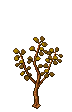 Golden Tree stages 2.png