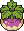 Turnip stages 4.png