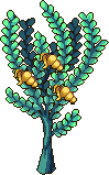 Brine Berry tree stages gold.png
