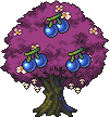 Fairy Cherry tree stages 9.png
