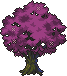 Fairy Cherry tree stages 4.png