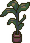 Tall Plant.png