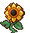 Sunflower stages 4.png