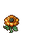 Sunflower stages 2.png