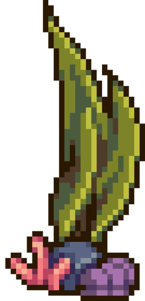 Small Seaweed.png