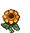 Sunflower stages 3.png