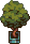 Small Potted Bush.png