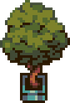 Small Potted Bush.png